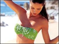 starsplanet.ru_adriana_lima_054 (1024x768, 78 k...)