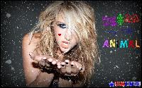 kesha_wall_starsplanet.ru_003 (1200x750, 154 k...)